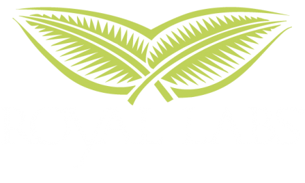 Leading Skin Care Manufacturer ROYAL LABS, of Charleston, S.C., Ramps-up production to meet demand for Hand Sanitizer Spray and Hand Wash among concerns of widespread shortages