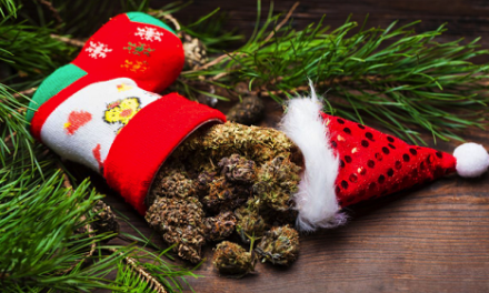 Budmail 420 provides news on cannabis stocking stuffers