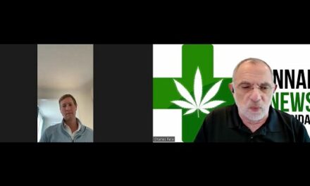 Interview with Stephen M  Reilly Co-Owner and Head of Government Relations for Insa Cannabis