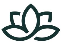 Flora Growth Corp. (FLGC) Announces $401 Million Funding with a $22.88 Million Strategic Investment from Defi Development Corp. (DFDV) to Initiate Groundbreaking AI Zero Gravity ($0G) Coin Treasury Strategy